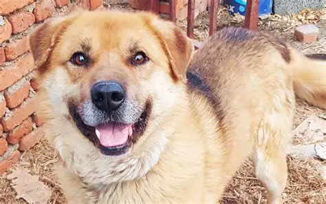 3aea056a847e8d2e99de1567dacb5a05