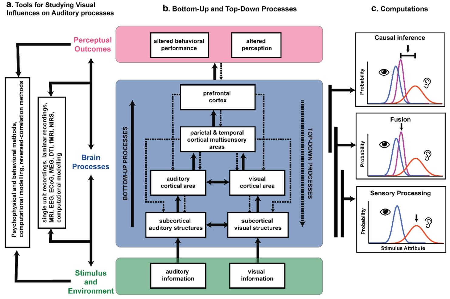 image-20250217173922197