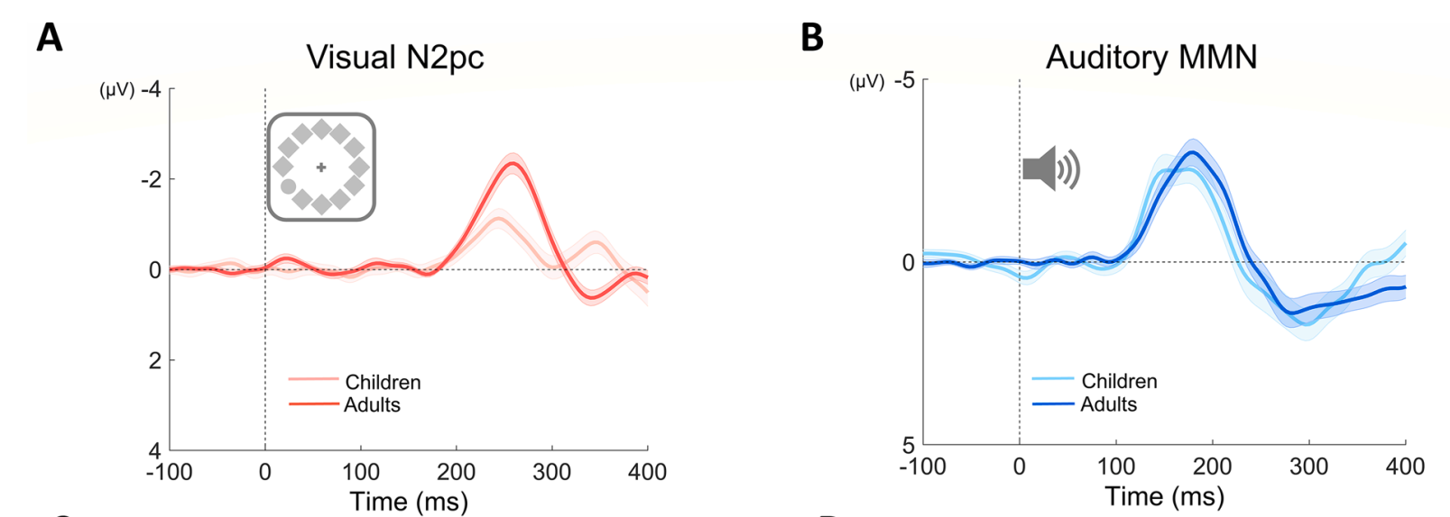 image-20250217205349549