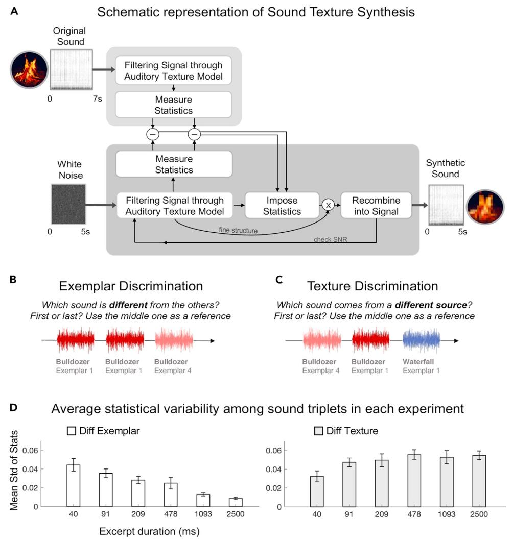 image-20250217232242417